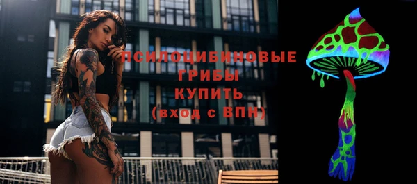 apvp Новозыбков