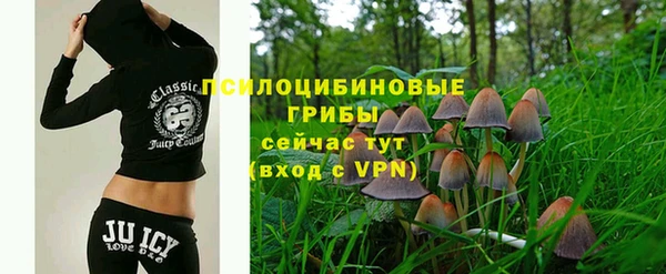 бутират Арсеньев