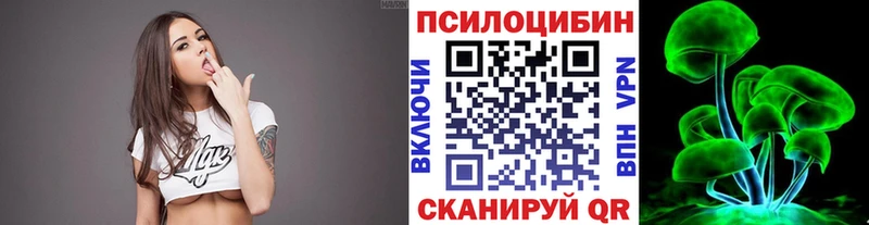 где можно купить   Тейково  Галлюциногенные грибы Psilocybine cubensis 